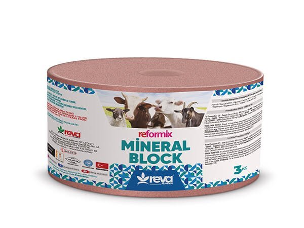 are mineral blocks good for dogs