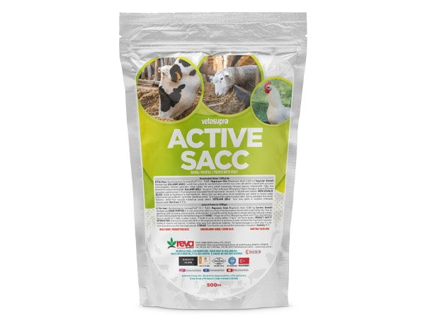 active sacc 03