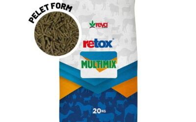 Retox Multimix ile Süt Verimliliğinde Maksimum Faydalar